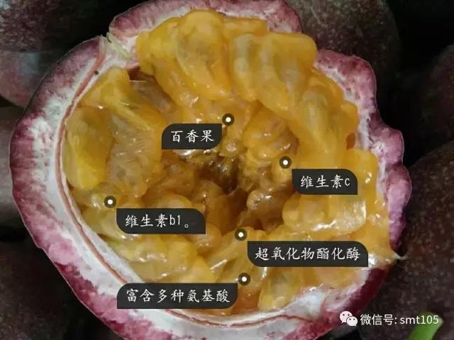 香果口感佳这个地方鲜为人知！凯时ag旗舰厅登录广西贺州百(图3)